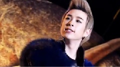 固城恐龙博览会开幕