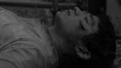 隐秘而伟大 & 柏林Cut