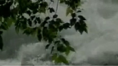 民乐群星 - 奔驰在千里草原