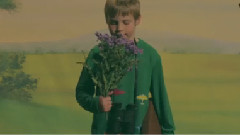 The Ceremonies - Land Of Gathering