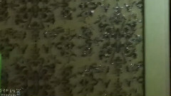 放送节最佳Model大赏