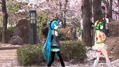 春に一番近い街