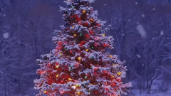 Les Rivieres Du Temps