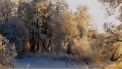 Bernward Koch,音乐短片 - Wonderful Glider