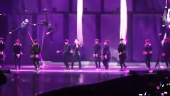 Tell Me What Is Love