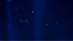 Nights Of Silk And Tears