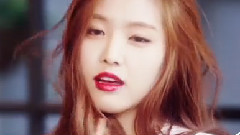 Show Time 第四季预告