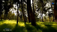 Instant De Beatitude