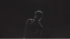 Showbiz Korea 新闻频