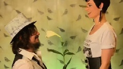 Mrs. Greenbird - Shooting Stars & Fairy Tales