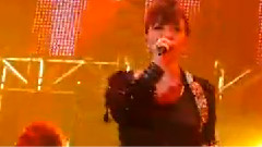 张惠妹 - 夏天的浪花