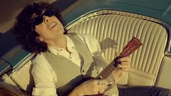 L.P. - Into The Wild