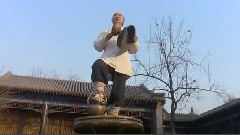 张学友,影视原声 - <功夫皇帝方世玉>