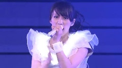 Spring of Life 日本武道馆4DAYS