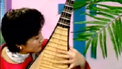 民乐群星 - 风戏柳