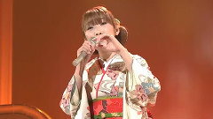 アンコ椿は恋の花