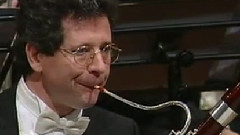 图画展览会 第五幅画未出壳雏鸟的芭蕾舞