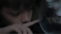 The Maccabees - Young Lions