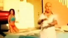 Pitbull - The Evolution of Mr. 305