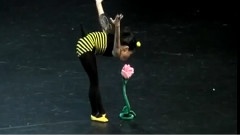 一只蜜蜂的短暂一生