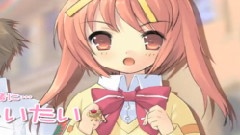 コイスル フローライト