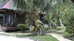 法国波利尼西亚