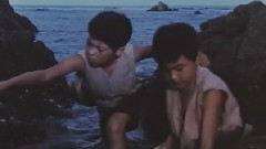 苦根上结出的一对苦瓜