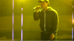 我是一只小小鸟