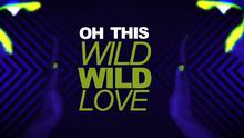 Pitbull - Pitbull - Wild Wild Love