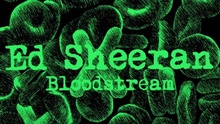 Bloodstream
