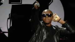 Dynamite Jungle Ball