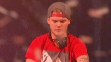 Avicii Live At Summertime Ball Part Two