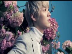 强く儚い者たち