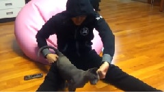 东海拍摄厉旭推特推希范视频