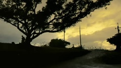 面朝大海 春暖花开