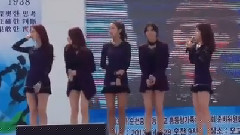 Dolls & Talk & Ticket & Figaro