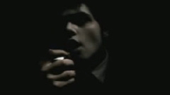 Vampires Will Never Hurt You