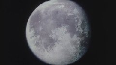 机动新世纪高达X