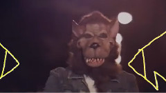 Owl City - Wolf Bite