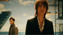 变わったかたちの石