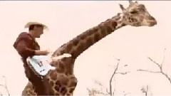 Southern Comfort Zone