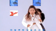 如果我是你的电脑