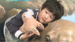 俊秀!去哪儿? 日山Road篇