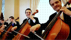 Very Beautiful Cannon