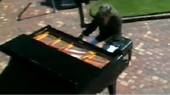 Giovanni Marradi - Lacrymosa