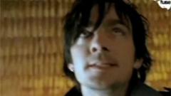 Animal I Have Become