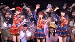 桜の花びらたち