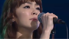 紫雨林 - 1994某个深夜