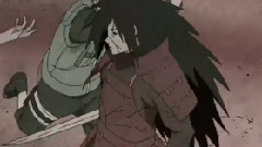 虽然我很喜欢鼬......