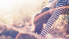 Angus and Julia Stone - Take You Away